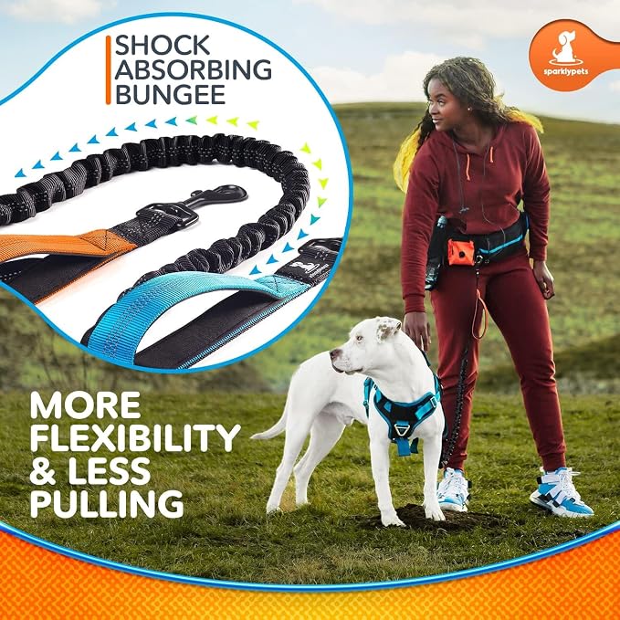 SparklyPets Active Waist Leash for Dog Walking Pack – Hands Free Dog Leash for Medium & Large Breeds – Complete Gear with Phone Holder, Detachable Poop Bag, Treat Pouch, and Bottle Holder