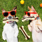 Sosation 10 Pcs Dog Chew Toys for Aggressive Chewers Nylon Beef Flavor Dog Bones Tough Puppy Teething Toys Puppy Chew Bones for Large/Medium/Small Breed Dogs Puppies (5.1 x 2 Inch)