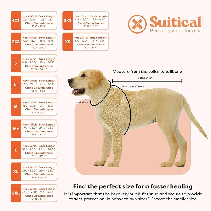 Suitical - The Original Dog Surgery Recovery Suit - Replace E-Collar & Cone - Spay, Neuter, Wounds, Prevent Licking - Medium - Neck to Tail 21.7–27.2in - Chest 27-37in - Weight 40-50lbs Sandstone Grey