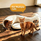 Cat Tunnel Bed with 30 Pcs Interactive Cat Toys, Cat Tube with Kitten Toys for Indoor Kittens, Collapsible Play Tunnel, White