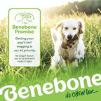 Benebone Medium 4-Pack Dog Toys for Aggressive Chewers – Under 60 lbs