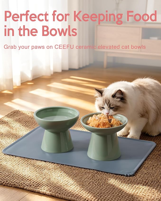 CEEFU 2 Elevated Ceramic Cat Bowls Upgraded with Food Mat for Food & Water | Extra Wide – Whisker Fatigue Shallow Food Dish, Lead & Cadmium-Free, Raised Height for Cats, Sage Green