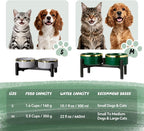 Elevated Ceramic Dog Bowl Set - Double Dishes with Stainless Steel Stand – Raised Feeding Bowls for Cats and Small Dogs - Food & Water Set - 5" / 1.6 Cups (160 g / 300 ml) - Green