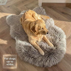 Faux Fur Orthopedic Dog Bed, Memory Foam, Grey 40"x25" | Plush Washable Dog Rug with Waterproof Machine Washable Cover, Calming for Anxious Senior Dogs, Relieves Joints