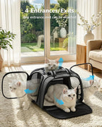 Pecute Cat Carrier with Bubble Window & Sunshade for Dogs Cats, Gray M | Dual bubble windows & top sunshade, 70% more airflow mesh, Impact-resistant stable frame, Locking zippers, Fits up to 11 lbs