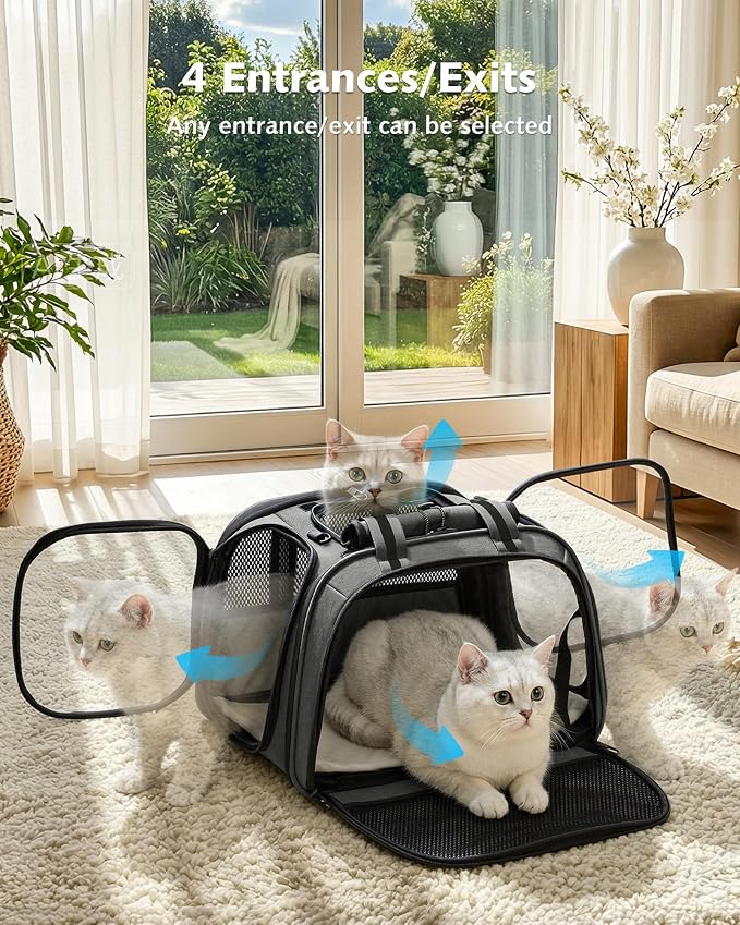 Pecute Cat Carrier with Bubble Window & Sunshade for Dogs Cats, Gray M | Dual bubble windows & top sunshade, 70% more airflow mesh, Impact-resistant stable frame, Locking zippers, Fits up to 11 lbs