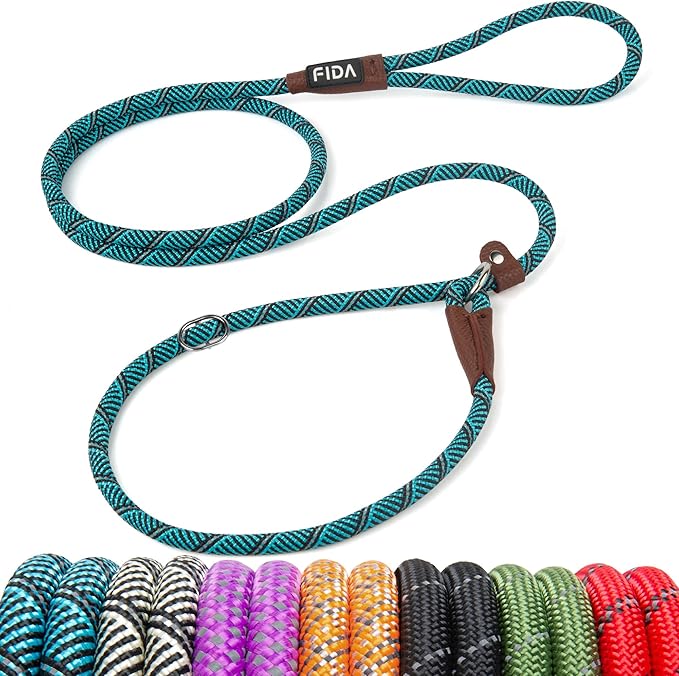 Fida Durable Slip Lead Dog Leash, 6 FT x 3/8" Heavy Duty Comfortable Strong Rope Slip Lead for Small Dogs and Puppies, No Pull Pet Training Lead with Highly Reflective(3/8", Blue)
