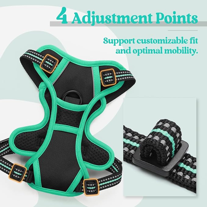 rabbitgoo Dog Harness, No Pull for Small Dogs with 2 Leash Clips, Pet Vest | No Choke with Handle, Adjustable Soft Padded, Reflective, Easy Control for Walking, Black & Turquoise, X-Small