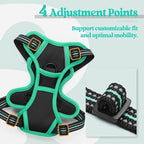rabbitgoo Dog Harness, No Pull for Small Dogs with 2 Leash Clips, Pet Vest | No Choke with Handle, Adjustable Soft Padded, Reflective, Easy Control for Walking, Black & Turquoise, X-Small
