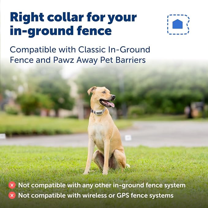 PetSafe Classic In-Ground Fence Collar | Collar Only, Replacement, Extra, Add-A-Dog, Tone, Vibration & Static, Waterproof, Rechargeable, Dogs & Cats 5 lb+