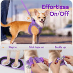 Eagloo Small Dog Harness and Leash Set, Step in Extra Small Puppy Pet Vest | Light, Soft, Breathable Air Mesh, Easy on and off with Hook & Loop, Reflective for Safe Walking, Purple, XXS