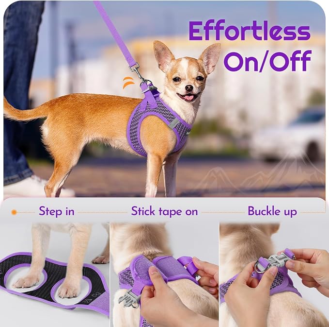 Eagloo Small Dog Harness and Leash Set, Step in Medium Small Puppy Pet Vest | Light, Soft, Breathable Air Mesh, Easy on and off with Hook & Loop, Reflective for Safe Walking, Purple, M