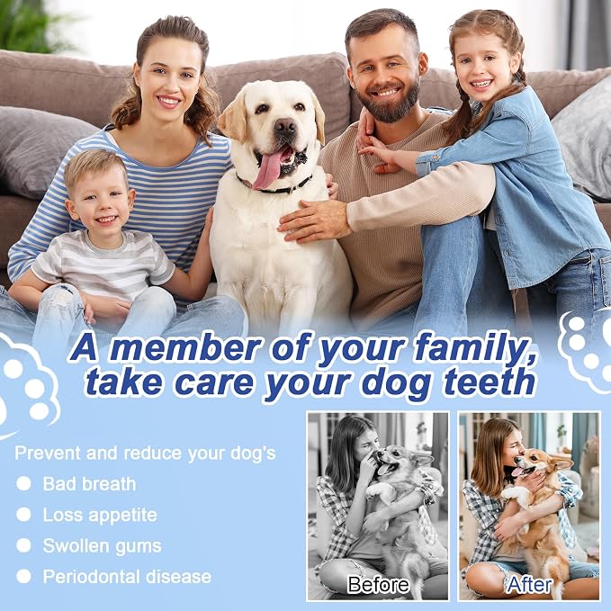 ETACCU Dog Plaque Remover for Teeth, Dog Plaque Remover Tool with LED Light, 5 Modes Teeth Cleaning Tools, Low Noise Pet Tooth Brushing Kit Dental Tools for Dog and Cat, Black
