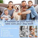 ETACCU Dog Plaque Remover for Teeth, Dog Plaque Remover Tool with LED Light, 5 Modes Teeth Cleaning Tools, Low Noise Pet Tooth Brushing Kit Dental Tools for Dog and Cat, Black