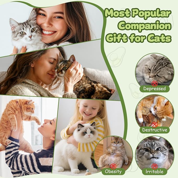 Interactive Cat Toys for Indoor Cats,Electric Flying Bird & Mouse Wand Teaser, Automatic Hanging Door Frame Chase/Hunt/Exercise Stimulate Feather Cat Toy for Bored Indoor Adult & Kitten