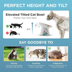 Necoichi Ceramic Raised Cat Food Bowl, 15° Tilted (Fuji, Extra Wide Tilted)