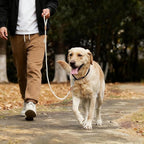 Mile High Life White Dog Leash with Genuine Leather Connection, 4/5/6 FT | Rope Leash, Heavy Duty 360° Swivel Metal Clasp, for Small Medium & Large Dogs (Cream White, 60 Inch)