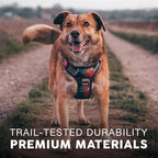 Embark Adventure Small Dog Harness – No-Pull, Reflective Trim, Military-Grade Nylon, Front Clip with Gel-Lined Handle, Soft & Padded Puppy Harness