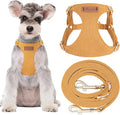 Puppytie Dog Harness and Leash Set, Yellow, M (16.5-31 lbs) | Harness Small Size Dog, Dog Leash for Small Dogs, Soft Lightweight and Adjustable, Small Dog Harness for Daily Walks
