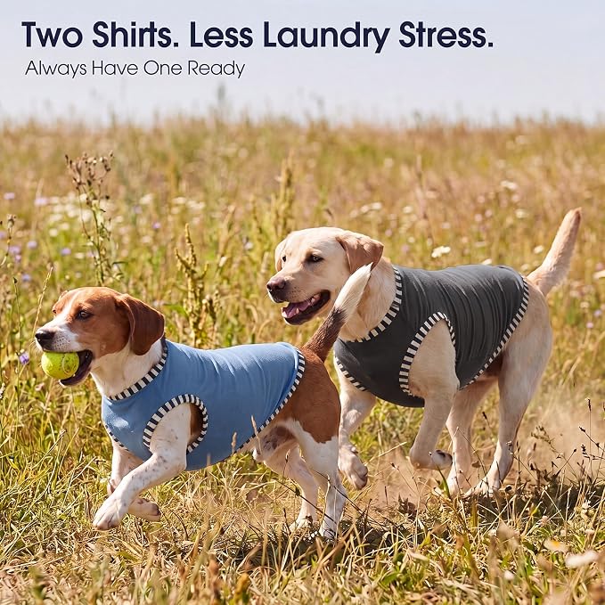 IECOii 2 Pack Dog Surgery Recovery Shirt Sleeveless Lightweight Dog Tshirt | T-Shirts with Stretch Fit,Gentle on Sensitive Skin,Anti-licking for Hot Spots,Shedding Control Tee,For Small to Giant Dogs