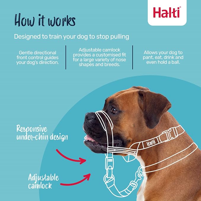 Halti Optifit Headcollar - Stop Your Dog Pulling on the Leash. Adjustable, Reflective and Lightweight, with Padded Nose Band. Dog Training Anti-Pull Collar for Large Dogs (Size Large) | Stop Your Dog Pulling on the Leash | Professional Anti-Pull Traini...