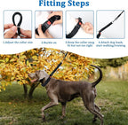 Mayerzon Martingale Dog Collar No Pull, Black, M | Neck Cir 14.5"-18.5" | Patented Anti Pull Collar for Small Medium Large Dogs, Buckle, For Walking Training, Adjustable, Hidden Design, 2.5mm Links