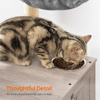 HOOBRO Cat Tree with Litter Box Enclosure, 44" Tall Wooden Cat Tower with Scratching Posts, Cat Hammock, Hidden Litter Box Furniture, All-in-One Indoor Cat Condo, Greige BG48MZ03