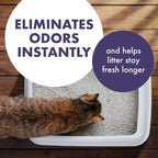 Arm & Hammer Forever Fresh Cat Litter Deodorizer, Wild Lavender, Essential Oils, Baking Soda Odor Neutralizer, 30 oz. Pack of 6 (Packaging May Vary)