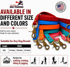 Gummy K9 Dog Leash, Biothane, Dog Training Leash, Made in The USA, 6 Feet, Various Sizes & Colors (5/8, Red)