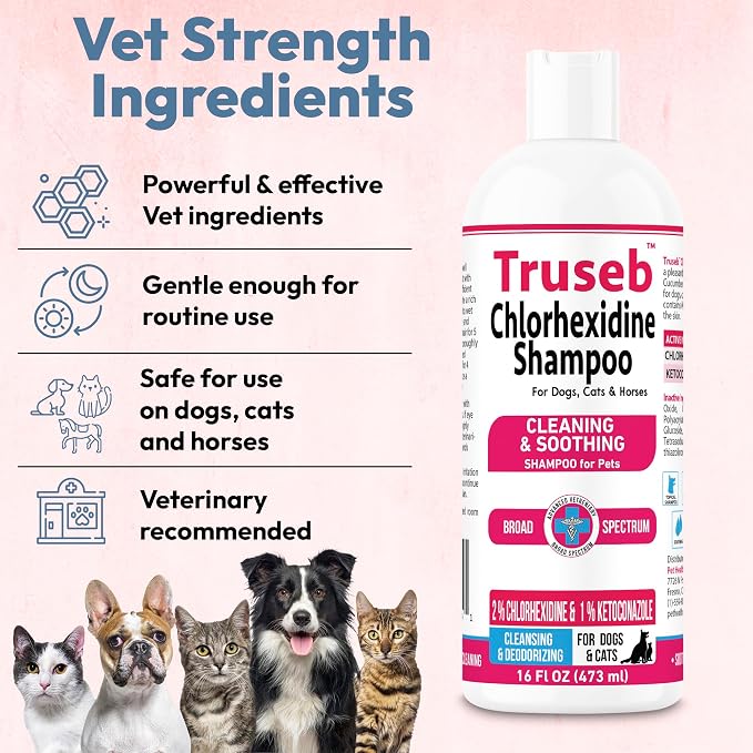 Truseb Topical Ketoconazole and Chlorhexidine Shampoo for Dogs, Cats, and Horses with Aloe - 16 oz (Ketoconazole & Chlorhexidine Shampoo, 16 oz)