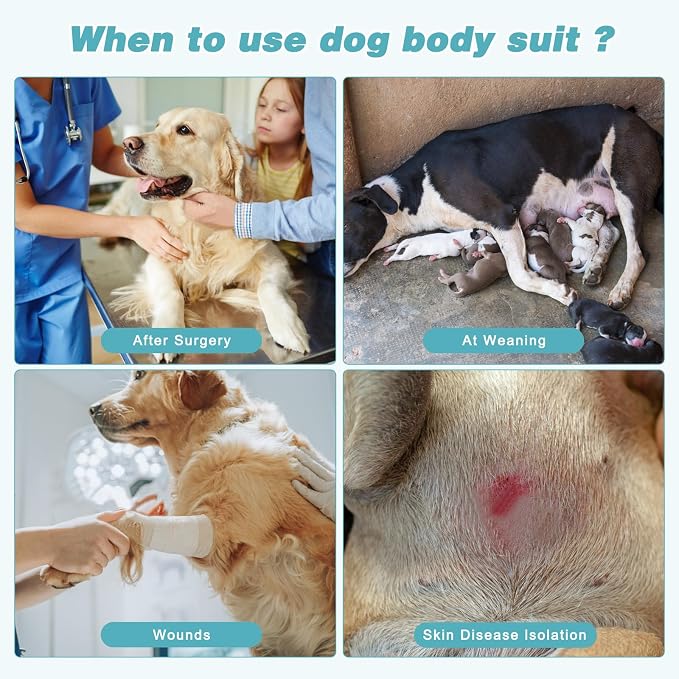 2 Packs Breathable Cotton Dog Recovery Suit for After Neuter Spay Abdominal Wounds Protector, Professional Anti-Licking Onesies for Male Female Pets Surgery Bandages, Large Textured Blue Purple