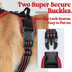 rabbitgoo Dog Harness, No Pull for Large Dogs with 2 Leash Clips, Pet Vest | No Choke with Handle, Adjustable Soft Padded, Reflective, Easy Control for Walking, Black & Red, Large