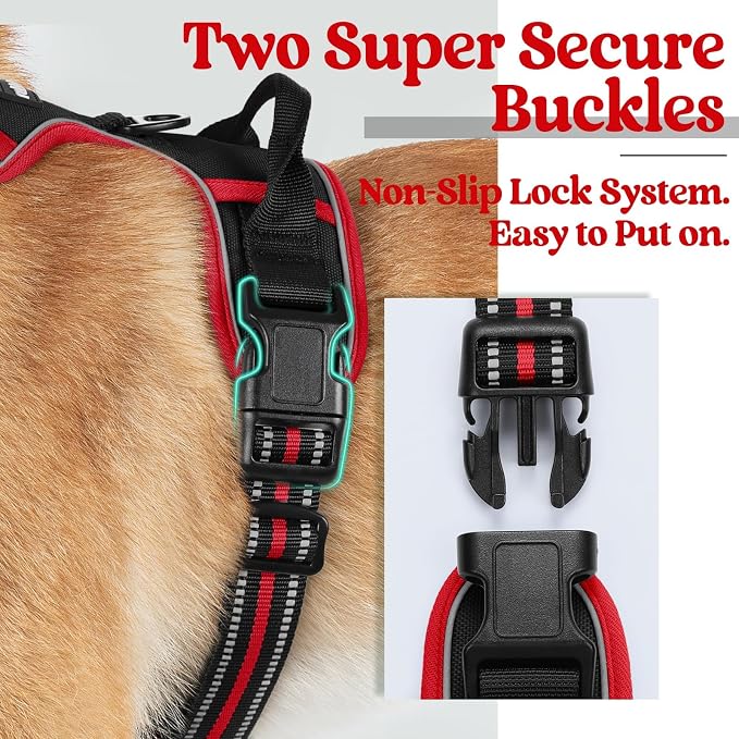 rabbitgoo Dog Harness, No Pull for Large Dogs with 2 Leash Clips, Pet Vest | No Choke with Handle, Adjustable Soft Padded, Reflective, Easy Control for Walking, Black & Red, Large