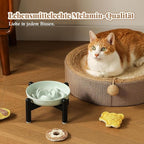 Elevated Slow Feeder Cat Bowl - Melamine Cat Food Plate with Anti-Slip Metal Stand - Raised Maze Dish for Slow Eating - Ivory White