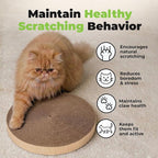 Catify Spin n' Scratch Cat Scratch Pad Refill - Round, 3-Pack | Corrugated Cardboard, Double Sided Cat Scratching Pad, Indoor Furniture Protector, Durable, For Kittens and Cats,
