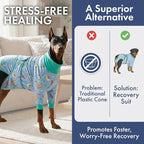 Spark Paws Dog Surgery Recovery Suit – Dog Recovery Suit After Surgery, Anti-Lick Dog Onesie, Abdominal Wound Protector, Soft Cone Alternative for Spay Neuter Male Female Pet Recovery - Dragons - 5XL