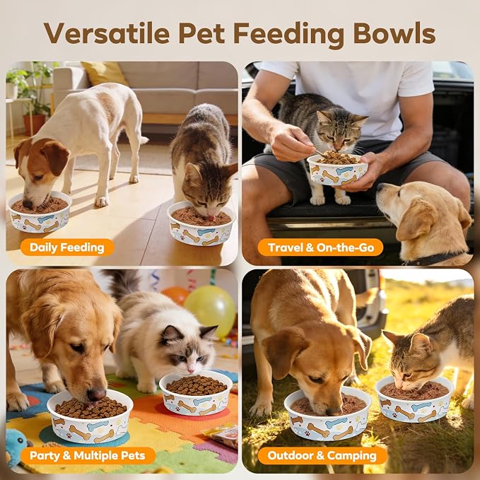 40 Pack Disposable Dog Bowls, 16 oz Paper Pet Bowls for Cats & Dogs | Disposable Bone Print Cat Food Bowls, Dry Wet Food & Wate, Small Medium Pets, Travel and Daily Feeding Bowls, Thick & Sturdy