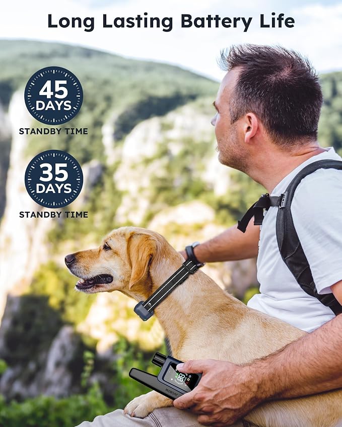 Shock Collar for 2 Dogs - 4200FT Dog Training Collar with Remote IPX7 Waterproof Electric Collar with 4 Training Modes, Security Lock E-Collar for Large Medium Small Breeds(Navy Blue)