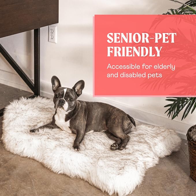 PAW Brands PupRug Orthopedic Memory Foam Dog Bed, White/Brown, 40x25 | Waterproof memory foam bed with washable cover — joint support for medium dogs