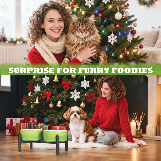 Ceramic Elevated Dog Bowl Set, 6.1''Raised Dog Food and Water Bowl Set with Non-Slip Stainless Steel Stand, Double Raised Dish for Small and Medium Breed, 3.5 Cups / 22 Fl Oz, Green
