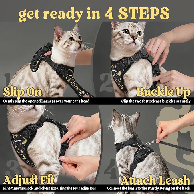 rabbitgoo Cat Harness and Leash Set, Escape Proof Vest, Lunar Prowl | Soft Breathable Mesh, Easy Adjustable Fit, Snap Buckles, Sturdy Clip, Reflective Strips, for Medium to Large Cats Walks, M