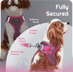 Eagloo Small Dog Harness and Leash Set, Step in Extra Small Puppy Pet Vest | Light, Soft, Breathable Air Mesh, Easy on and off with Hook & Loop, Reflective for Safe Walking, Rose Red, XXS