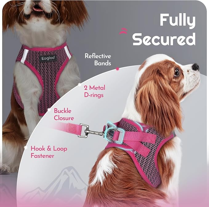 Eagloo Small Dog Harness and Leash Set, Step in Medium Small Puppy Pet Vest | Light, Soft, Breathable Air Mesh, Easy on and off with Hook & Loop, Reflective for Safe Walking, Rose Red, M