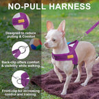 BEAUTYZOO Dog Harness for Small Dogs, No Pull Dog Harness and Leash Set, Soft Escape Proof Puppy Vest Harness with Handle, Reflective Lightweight Step in Harness for Girl Boy Dogs, Purple S