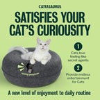 Peekaboo Cat Cave Duo Jumbo Set, Extra Spacious Cat Donut for Multiple & Large Kitty 15+ lbs, Scratch Detachable Cat Beds for Indoor Cats, Washable Cat Tunnel Bed, Best Kitten Toys