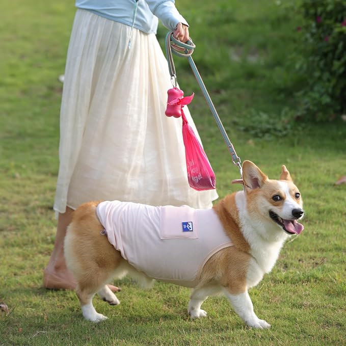 Deo Doo Dog Poop Bags with Handles, 360 Count, Rose Scented (Only Rolls) | Extra Thick Leak Proof, Easy-Tie Design, Easy Open and Tear, 30 Refill Rolls for Multi-Pet Waste and Cat Litter Cleanup