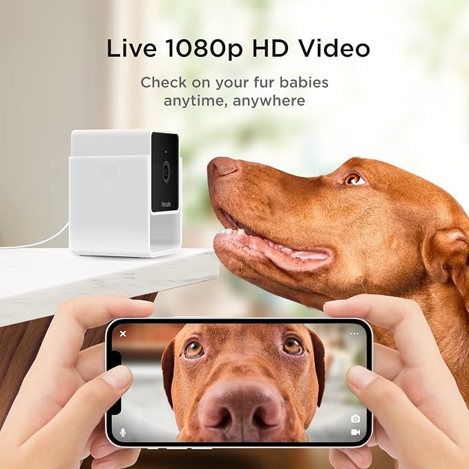 Petcube Cam – Indoor Wi-Fi Pet & Security Camera with App | 1080p HD video, 2-way audio, night vision, smart alerts for dog, cat & home security monitoring