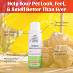 SKOUT'S HONOR Probiotic Dog Shampoo and Conditioner - SC, 16 oz, 2-Pack | Natural 2-in-1 for Itchy Skin, Microbiome-Friendly with Avocado Oil & Omega-3s, Paraben & Sulfate-Free