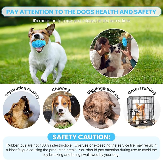 PIFFZEDO Dog Toys for Aggressive Chewers,Interactive Natural Rubber Chew & Squeaky Toy for Medium Breed Only(Not for Small Dog),Dog Toothbrush,Tough & Durable (Azure,Medium)