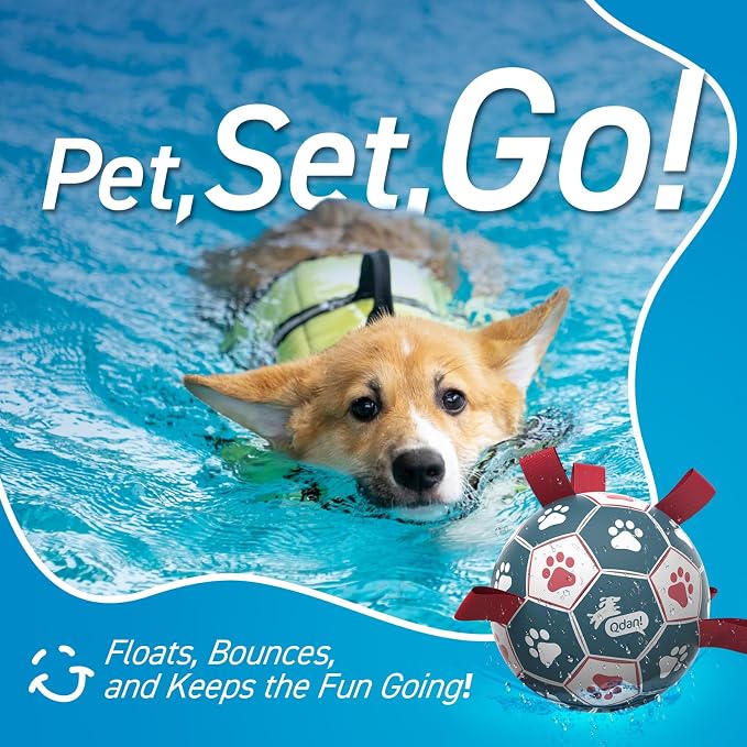 QDAN Dog Balls, 6 Inch Dog Soccer Ball with Straps, Herding Balls for Dogs | Outdoor Dog Toys Balls for 20-40 lb dogs, Puppy Ball to Keep Them Busy, Dog Pool Water Play Toy, Puppy Birthday Gifts